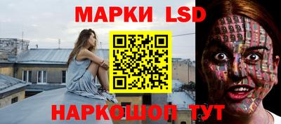 гидропоника Можга
