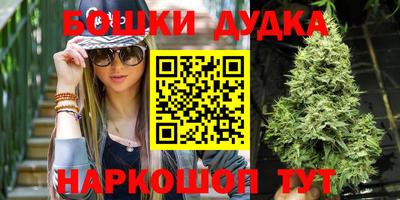гидропоника Можга