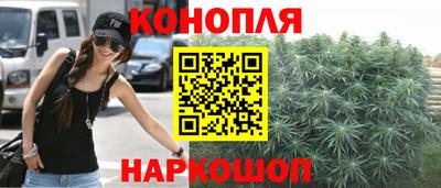 гидропоника Можга
