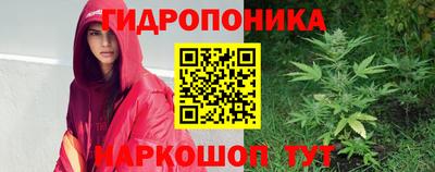 стафф Моздок